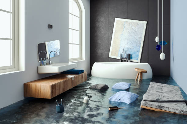 Best Water damage restoration near me  in Esko, MN