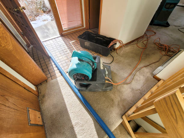 Best Fire Damage Restoration  in Esko, MN