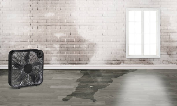 Water damage restoration experts in Esko, MN