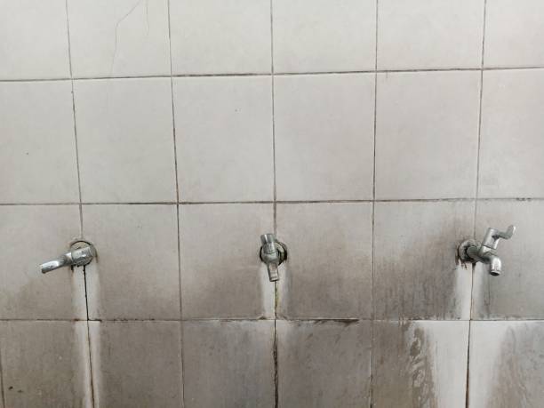 Best Water damage restoration near me  in Esko, MN