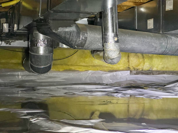 Best Water damage contractors near me  in Esko, MN