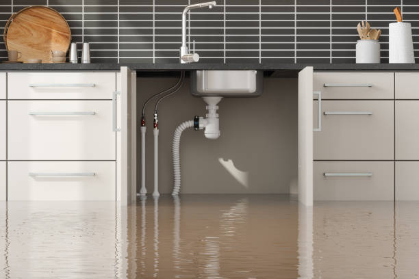 Best Water damage restoration experts  in Esko, MN